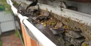 Ease Your Panes Announces Enhanced Gutter Cleaning Services as Homeowners Face Increased Storm Debris